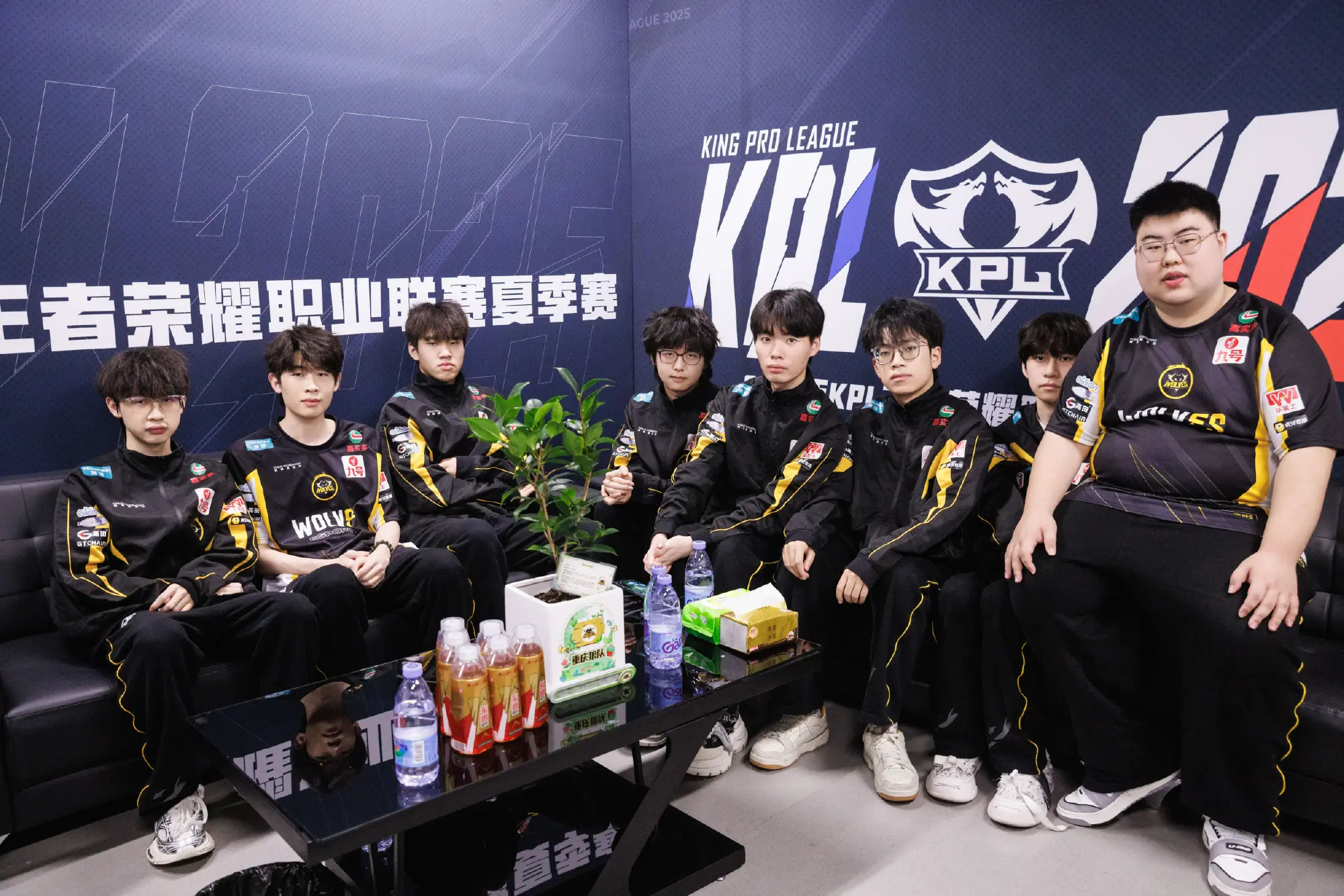 cn, 狼队抛弃风, 如果不强 cn, 狼队抛弃风, 如果不强