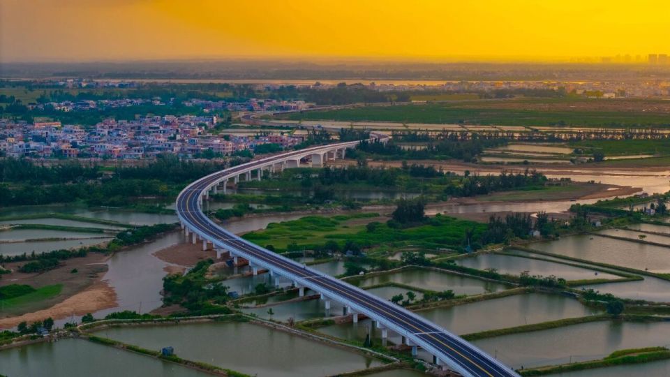 往届儋洋落 往届儋洋落