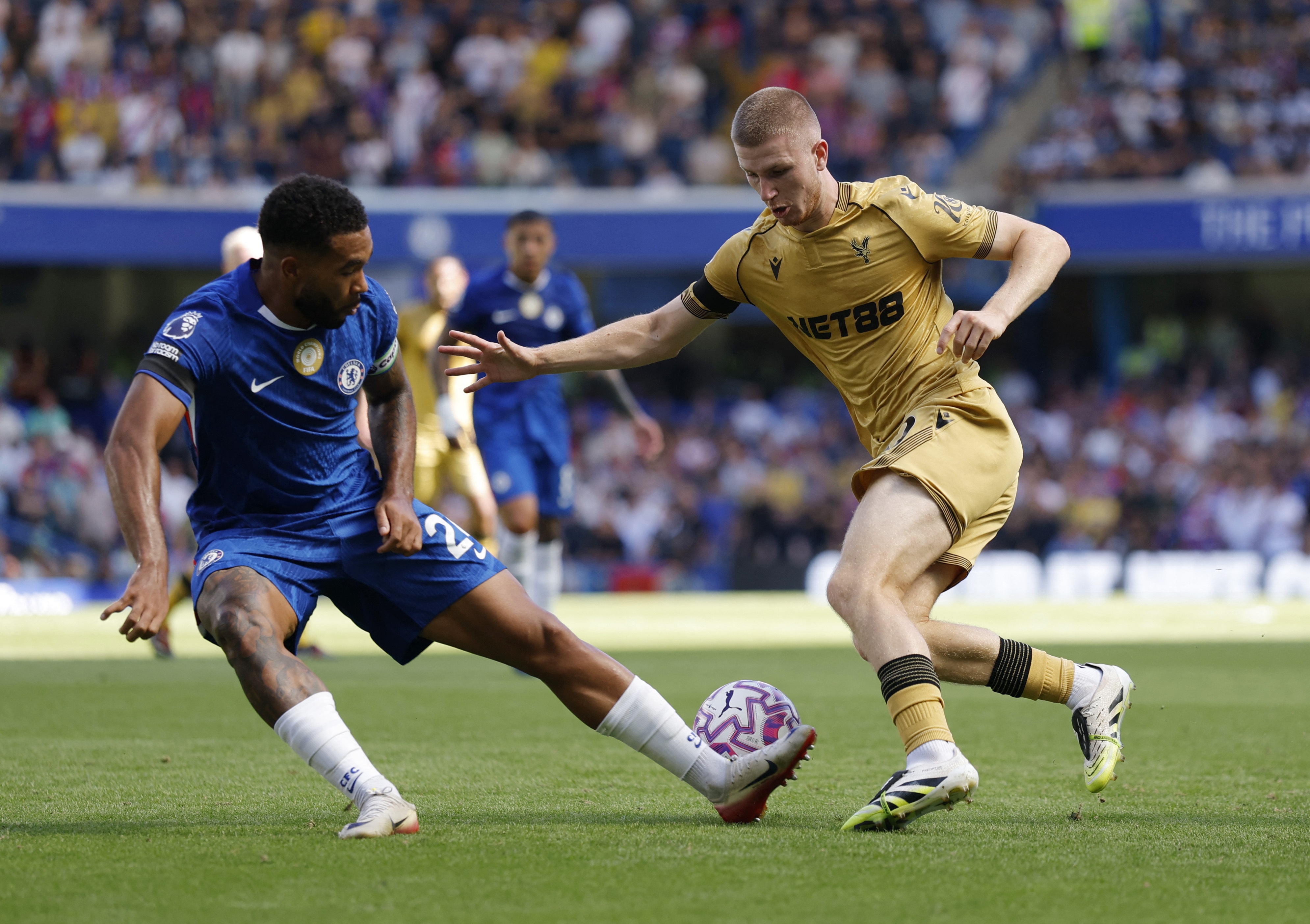 号位是我们, 分百被他的, 沃顿 号位是我们, 分百被他的, 沃顿